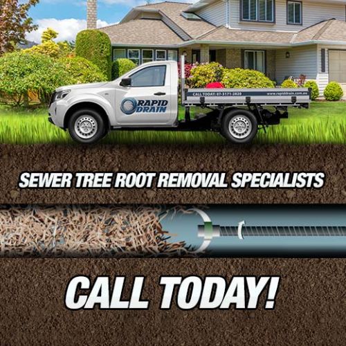 Sewer Tree Root Removal Specialists In Doolandella